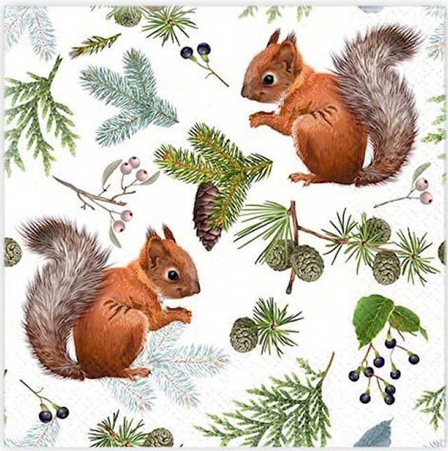 Produktbild 1 för Servetter Ekorre 20-pack Gullers