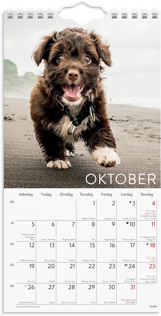 Produktbilde 2 for Väggkalender 2026 Liten Hundkalender 120x230 mm Burde