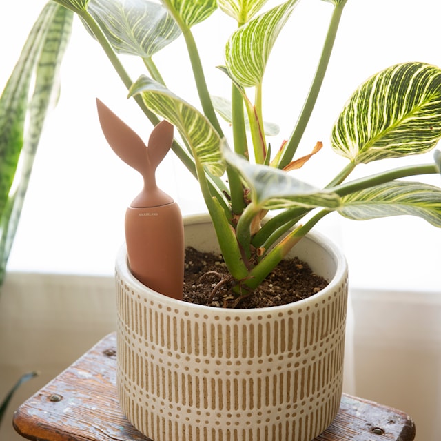 Produktbilde 1 for Terracotta Watering Stake, Kikkerland