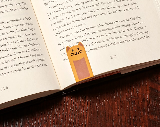 Tuotekuva 4 - Magneettiset kissakirjanmerkit, 4 kpl