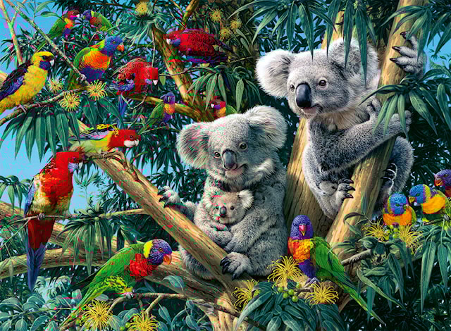 Produktbilde 2 for Koalaer i tre Puslespill 500 brikker, Ravensburger