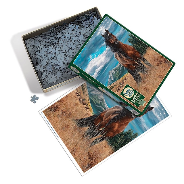 Produktbild 2 för Pussel Freedom 1000 bitar Cobble Hill