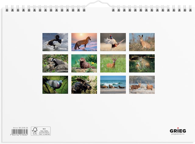 Produktbilde 4 for Veggkalender 2026 A4 Norske Dyr GRIEG