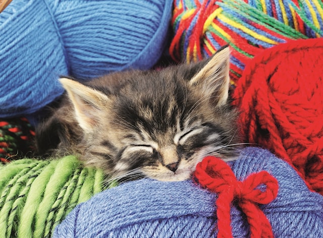 Produktbild 2 för Wool Cat Pussel 100 Bitar, Ravensburger