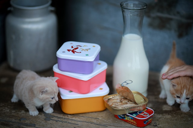 Produktbilde 2 for Pelle Svanslös Snackboks 3-pack Rätt Start