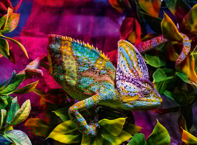 Produktbild 2 för Chameleon Pussel 500 bitar, Ravensburger