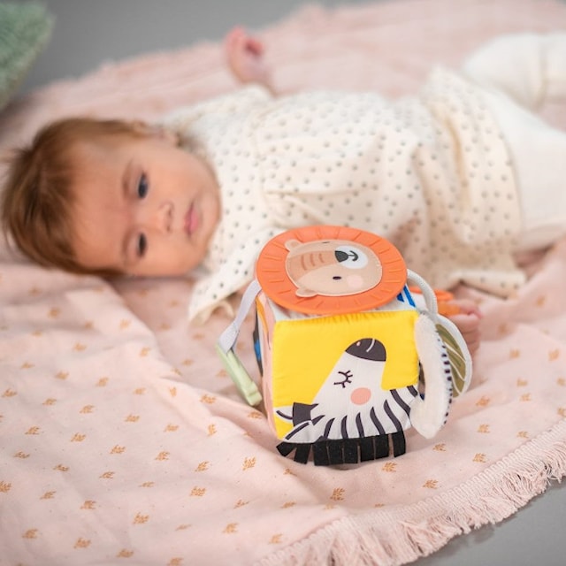 Produktbilde 3 for TAF Toys 12755 Savannah Discovery Cube