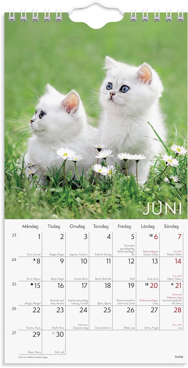Produktbild 2 för Väggkalender 2026 Liten Kattkalender 120x230 mm Burde