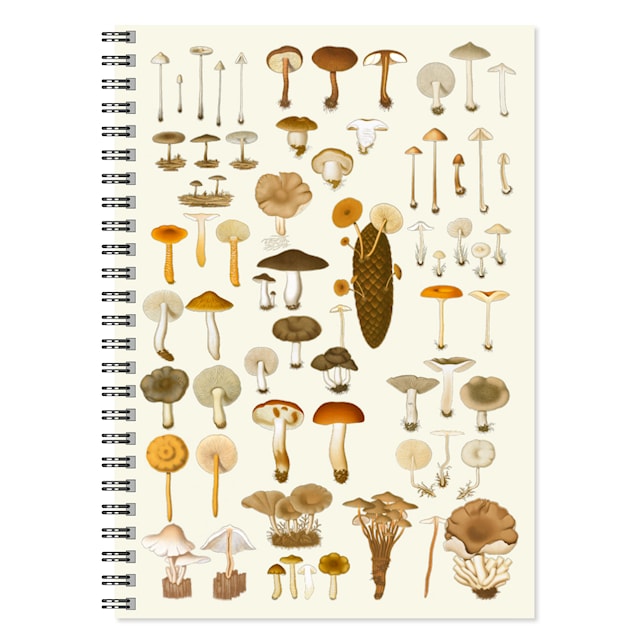 Produktbilde 1 for Notatbok A5 Sopp Gullers