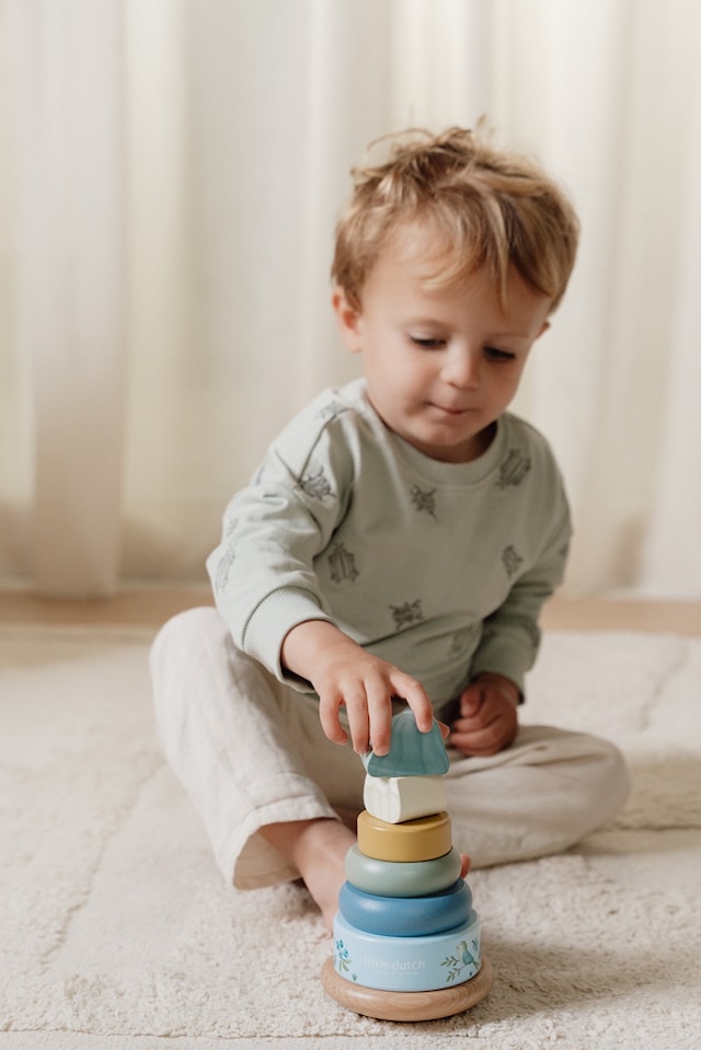 Produktbild 4 för Forest Friends Stapelleksak Little Dutch